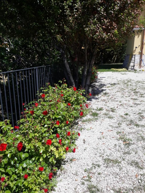 Villa immersa nel verde image 16