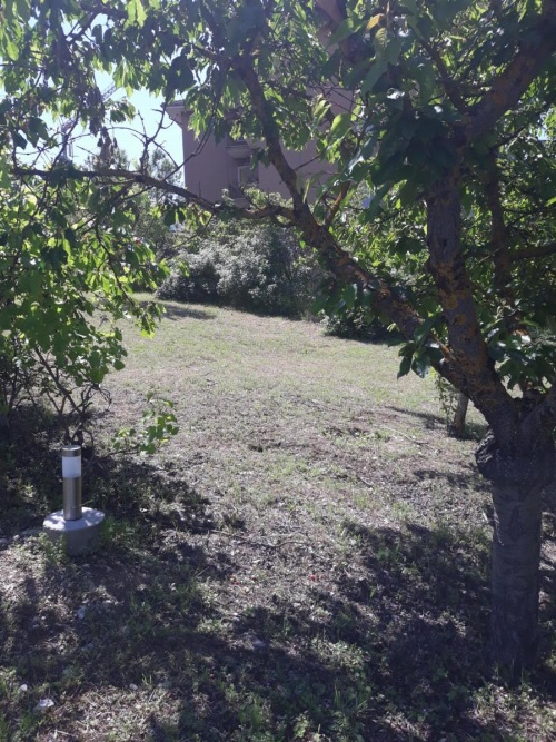 Villa immersa nel verde image 24